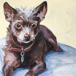 Custom 8X8 Pet Portrait Painting