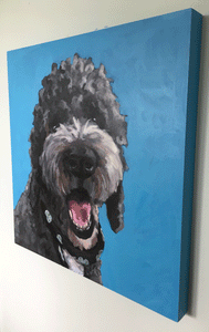Custom 20x20 Pet Portrait Painting
