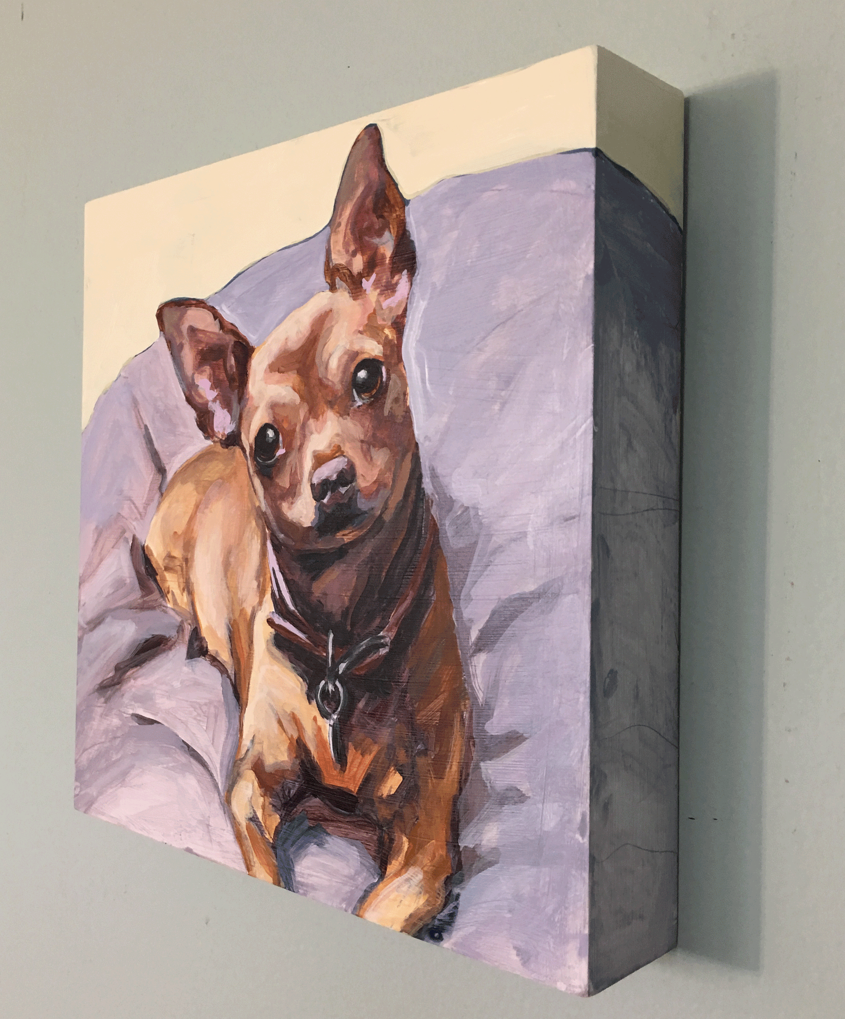 8x8 canvas--Dog with raincoat – Applecoxdesign